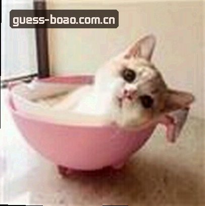 黄丽